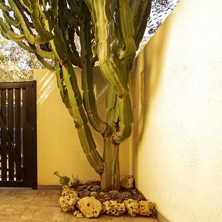 Semesterbostad El Velero Sotillo Cactus Piscina Parking 8 People *