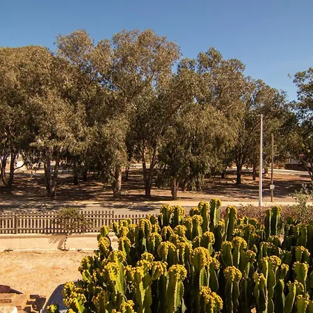 Casa vacanze El Velero Sotillo Cactus Piscina Parking 8 People San José